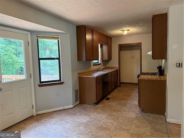 285 Woodland St, Dallas, GA 30157 - kitchen with black appliances, a textured ceiling, plenty of natural light, a sink, and baseboards