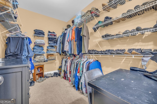 152 Charity Dr, Homer, GA 30547 - walk in closet featuring carpet floors