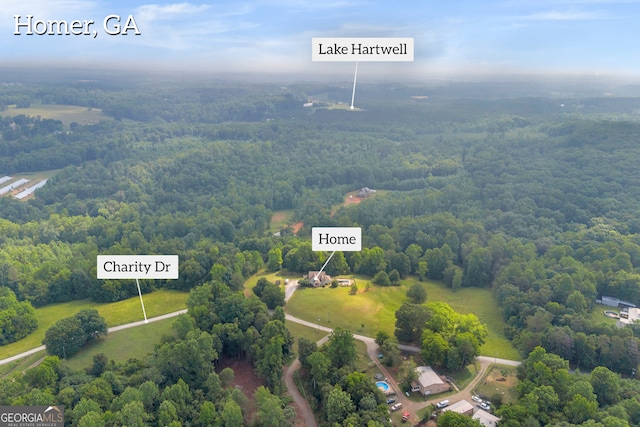 152 Charity Dr, Homer, GA 30547 - bird's eye view of a heavily wooded area