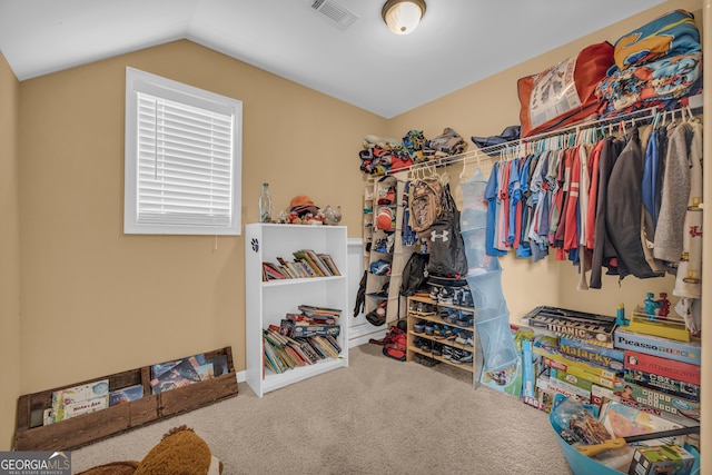 152 Charity Dr, Homer, GA 30547 - spacious closet with carpet floors and vaulted ceiling
