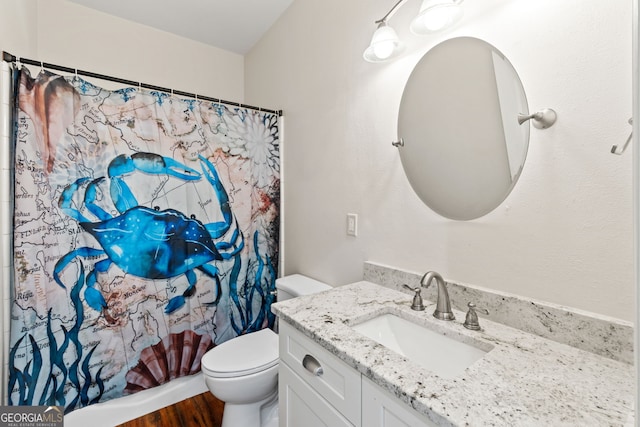 635 Piping Rock Pt, Lawrenceville, GA 30043 - bathroom featuring vanity, toilet, wood finished floors, and curtained shower