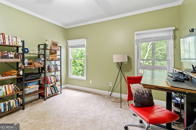 635 Piping Rock Pt, Lawrenceville, GA 30043 - office space featuring baseboards, crown molding, and carpet floors
