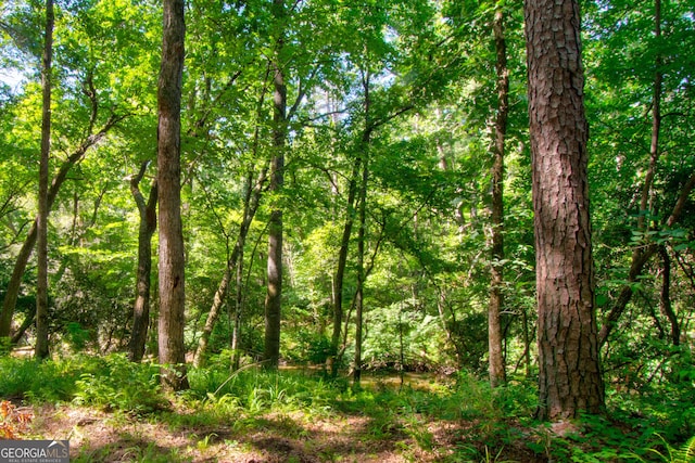 600 Grand Oak Ln, Dahlonega, GA 30533