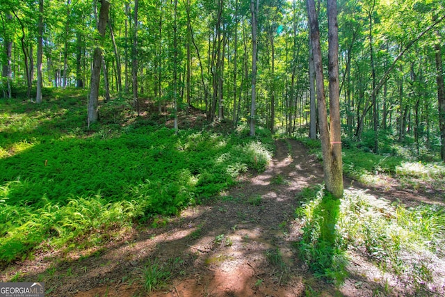 600 Grand Oak Ln, Dahlonega, GA 30533