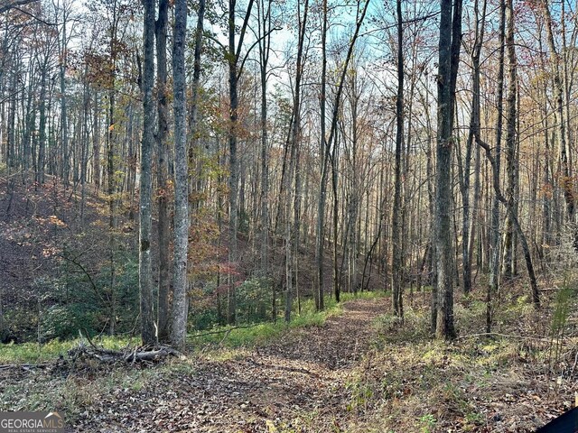 600 Grand Oak Ln, Dahlonega, GA 30533