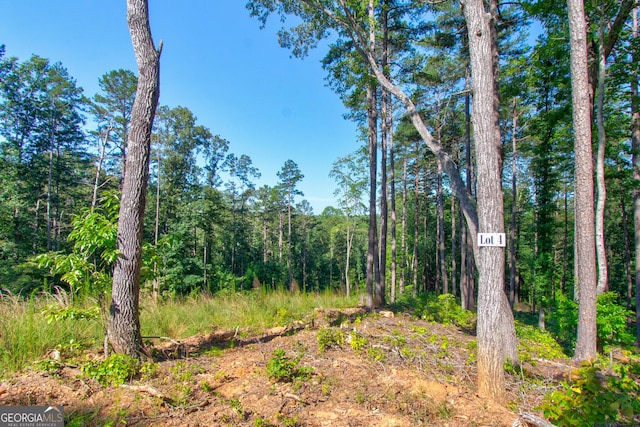 600 Grand Oak Ln, Dahlonega, GA 30533