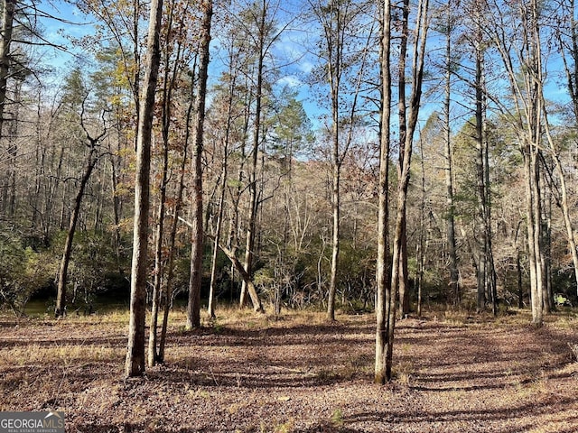 600 Grand Oak Ln, Dahlonega, GA 30533