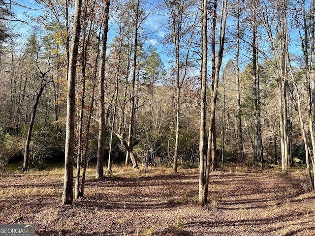 600 Grand Oak Ln, Dahlonega, GA 30533