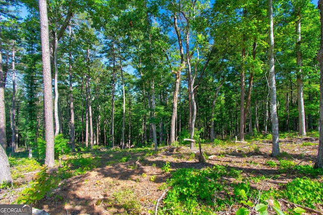 600 Grand Oak Ln, Dahlonega, GA 30533