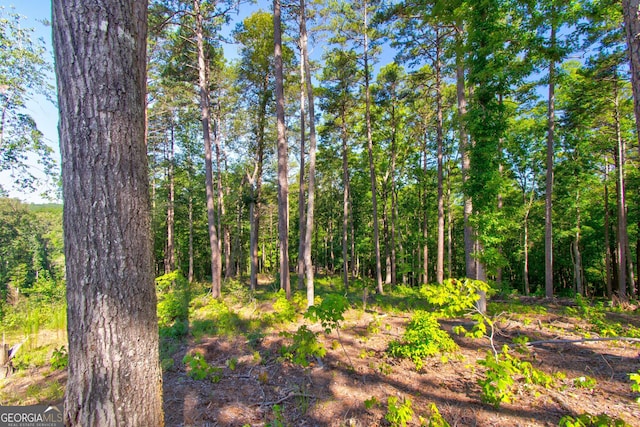 600 Grand Oak Ln, Dahlonega, GA 30533
