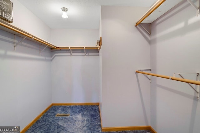 156 Spoon Hill Dr, Hayesville, NC 28904 - spacious closet with carpet