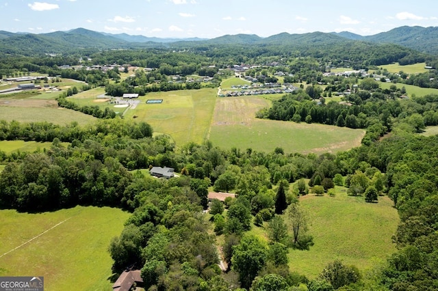 156 Spoon Hill Dr, Hayesville, NC 28904 - view of rural area with mountains