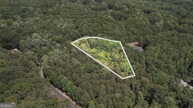 0 Plum Ln Unit 53, Clarkesville, GA 30523