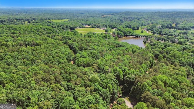 0 Plum Ln Unit 53, Clarkesville, GA 30523