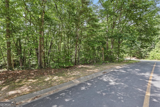 0 Plum Ln Unit 53, Clarkesville, GA 30523