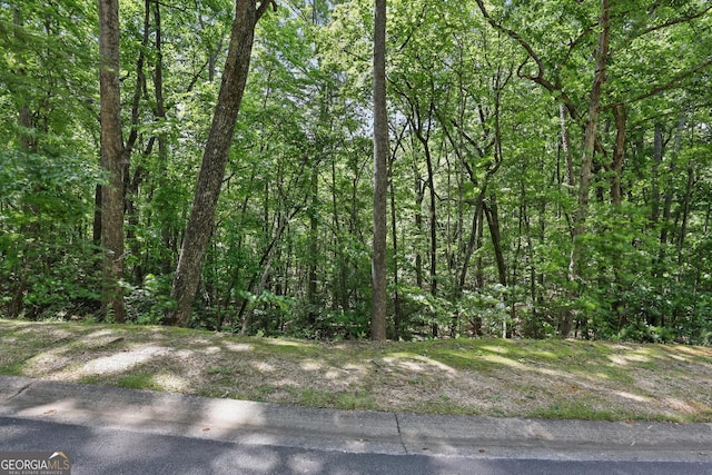 0 Plum Ln Unit 53, Clarkesville, GA 30523