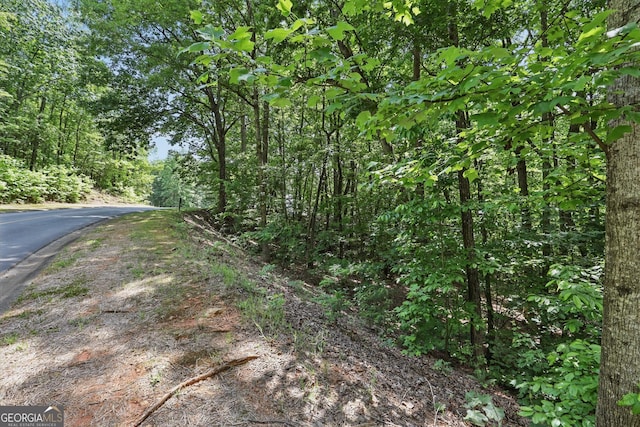 0 Plum Ln Unit 53, Clarkesville, GA 30523