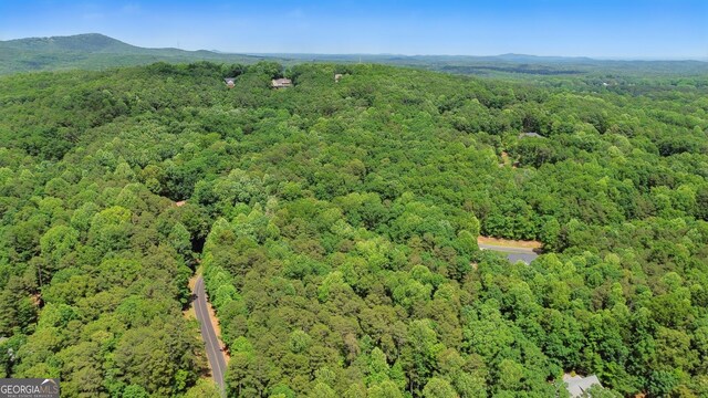 0 Plum Ln Unit 53, Clarkesville, GA 30523