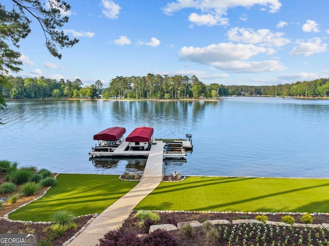 1461 N Shore Dr, Greensboro, GA 30642 - dock area featuring boat lift, a water view, a yard, and a view of trees