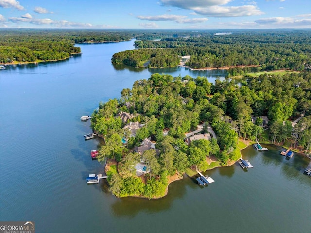 1461 N Shore Dr, Greensboro, GA 30642 - aerial view of property and surrounding area with a forest and a large body of water