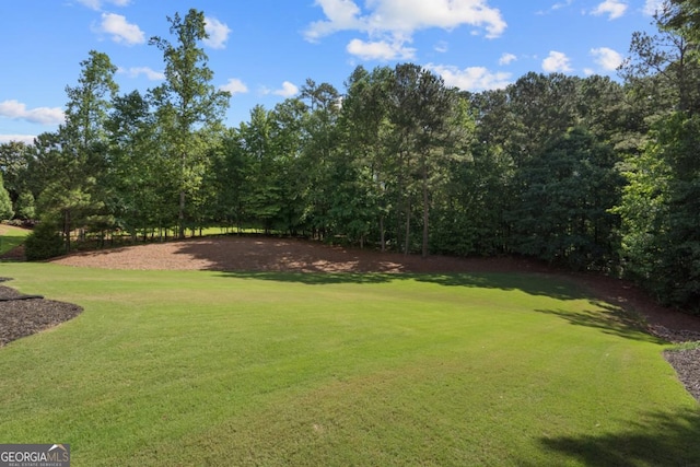 13037 Overlook Pass, Roswell, GA 30075 - view of green lawn