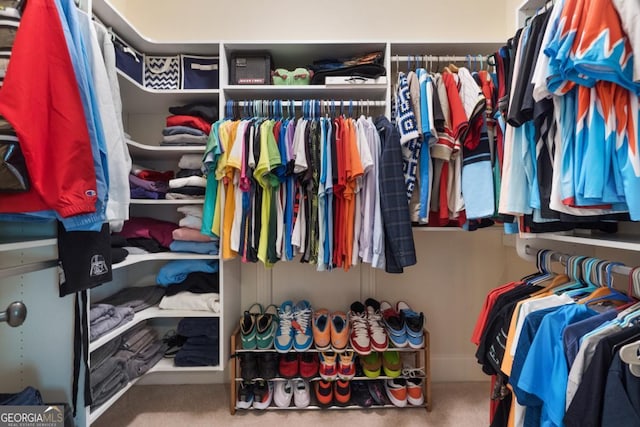 13037 Overlook Pass, Roswell, GA 30075 - spacious closet with carpet floors