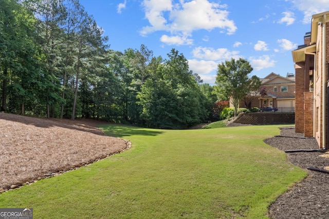 13037 Overlook Pass, Roswell, GA 30075 - view of green lawn