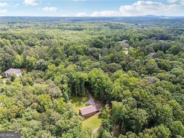 2270 Dinsmore Rd, Alpharetta, GA 30004 - drone / aerial view of a forest