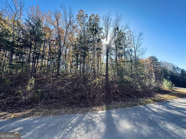 0 Planters Pointe Ter, Baldwin, GA 30511