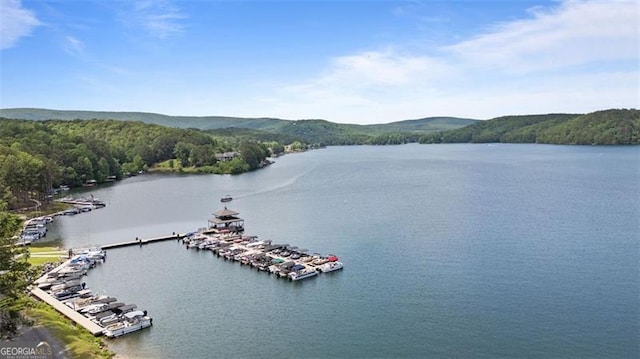 109 Sitting Bull Ct, Waleska, GA 30183 - water view featuring a heavily wooded area