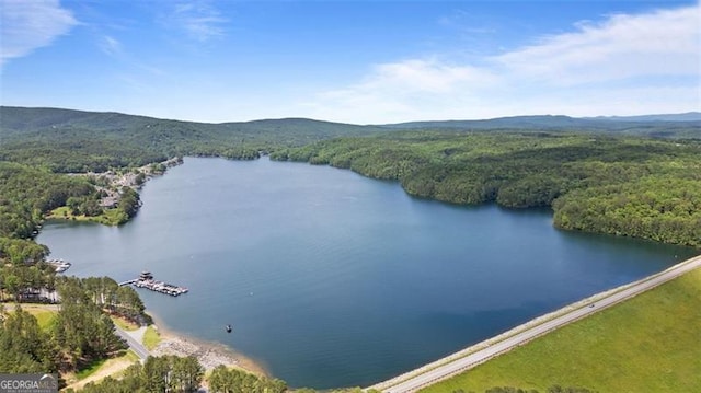 109 Sitting Bull Ct, Waleska, GA 30183 - drone / aerial view of a heavily wooded area and a water and mountain view