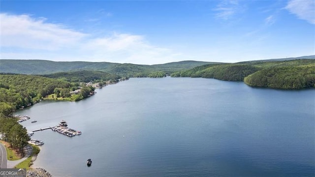 109 Sitting Bull Ct, Waleska, GA 30183 - water view featuring a forest and a mountain backdrop