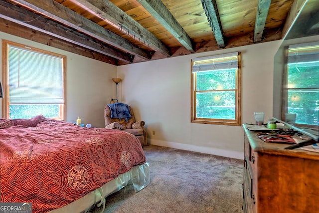 218 Jefferson Pl, Toccoa, GA 30577 - bedroom featuring carpet flooring, multiple windows, wooden ceiling with exposed beams, and baseboards