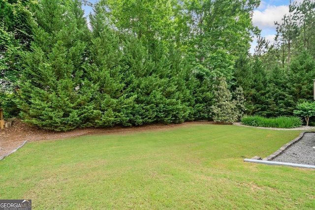 1898 Alcovy Shoals Blf SE, Lawrenceville, GA 30045 - view of grassy yard