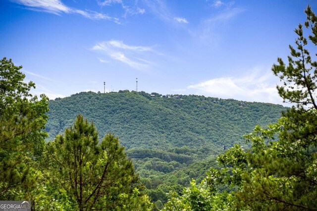 458 Palisade Dr Unit 2142, Ellijay, GA 30540 - mountain view with a forest