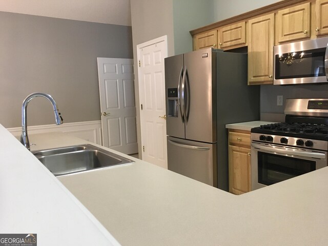 175 Camry Ln, Grayson, GA 30017 - kitchen featuring stainless steel appliances, a sink, light countertops, a peninsula, and a fireplace with flush hearth