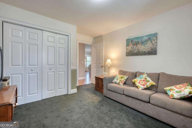 2008 Hidden Valley Rd, Hiawassee, GA 30546 - living room with dark colored carpet and baseboards