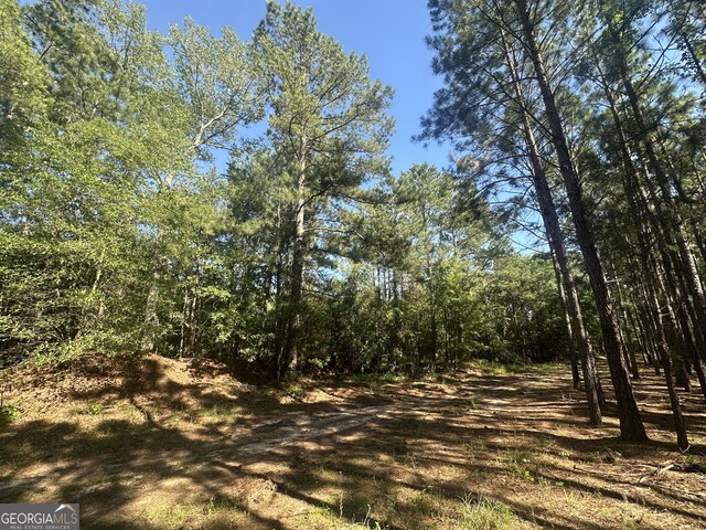 0 Dorsey Clark Rd, Sylvania, GA 30467