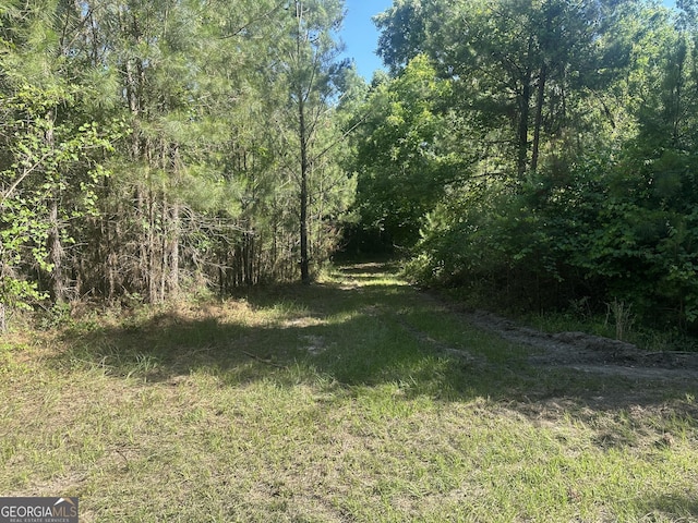 0 Dorsey Clark Rd, Sylvania, GA 30467