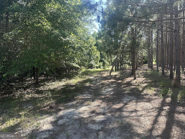 0 Dorsey Clark Rd, Sylvania, GA 30467