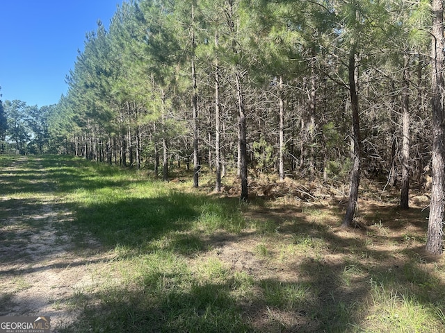 0 Dorsey Clark Rd, Sylvania, GA 30467