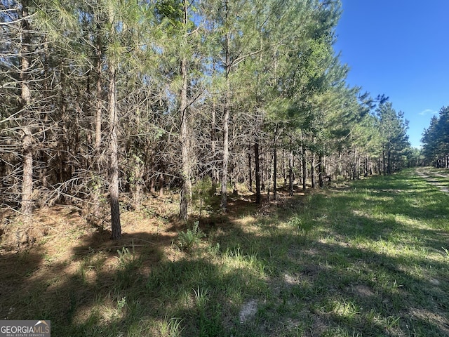 0 Dorsey Clark Rd, Sylvania, GA 30467