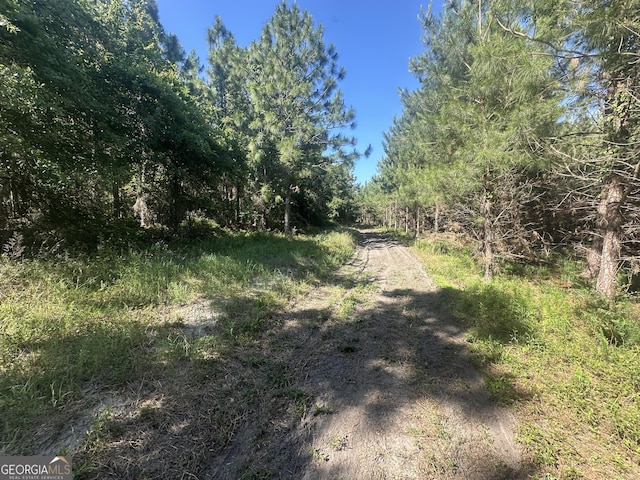 0 Dorsey Clark Rd, Sylvania, GA 30467