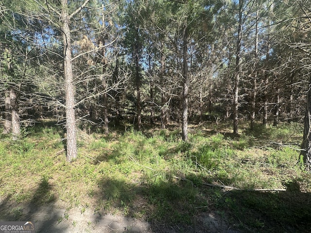 0 Dorsey Clark Rd, Sylvania, GA 30467