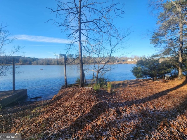 85 Lang Cir, Covington, GA 30014 - water view