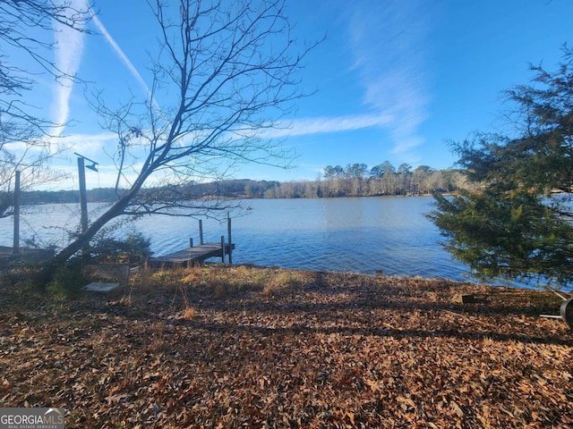 85 Lang Cir, Covington, GA 30014 - water view