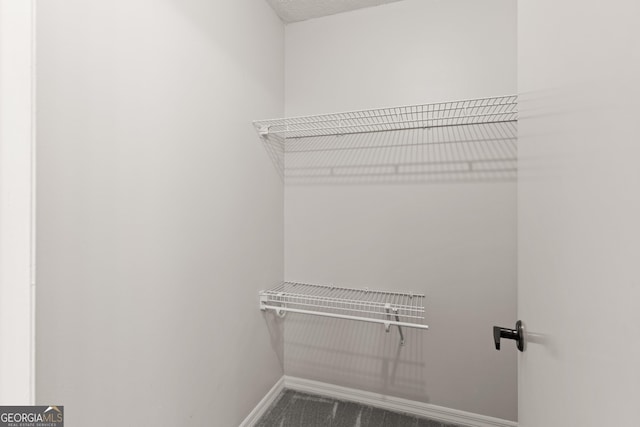 107 Linkside Dr, Saint Simons, GA 31522 - view of spacious closet