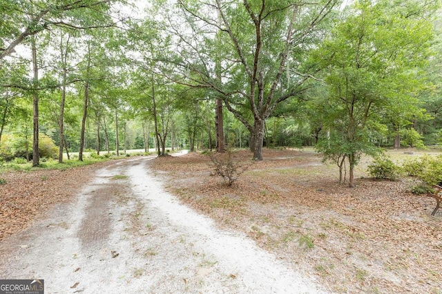 701 Log Landing Rd, Springfield, GA 31329 - view of dirt / gravel road with a forest view