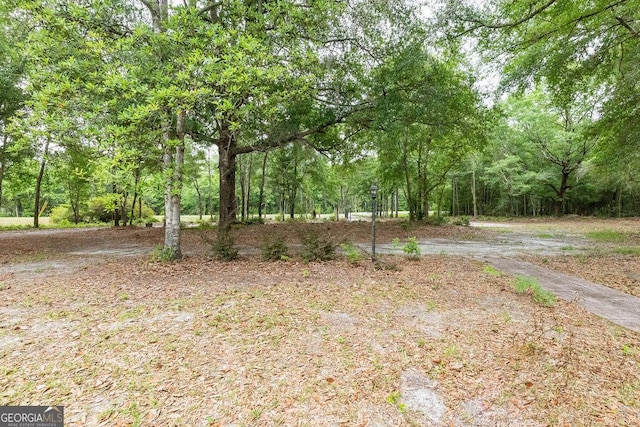 701 Log Landing Rd, Springfield, GA 31329 - view of yard with a forest view