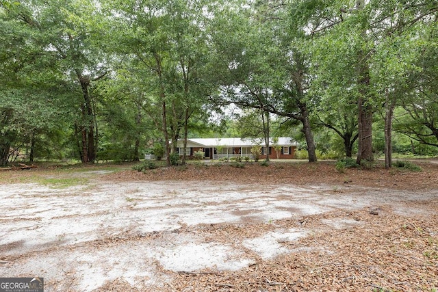 701 Log Landing Rd, Springfield, GA 31329 - view of yard